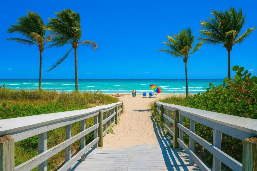 Web Design in Hollywood