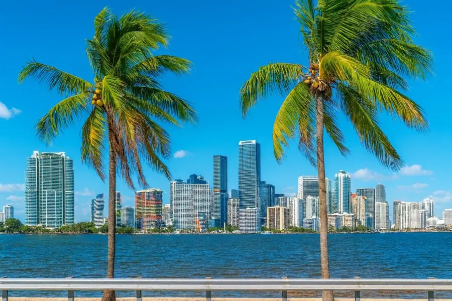 Web Design in Miami