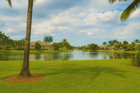 Web Design in Pembroke Pines