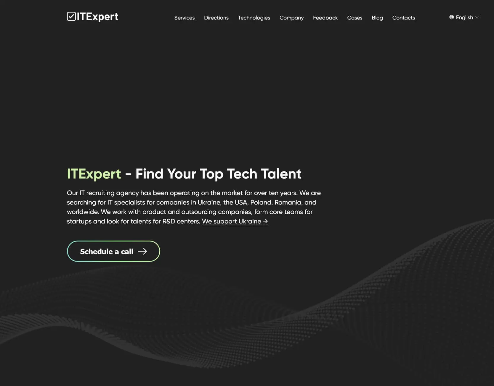 Website Improvement for IT Expert