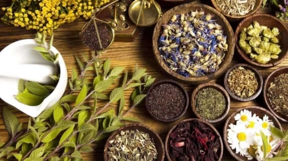 mirspa.ru